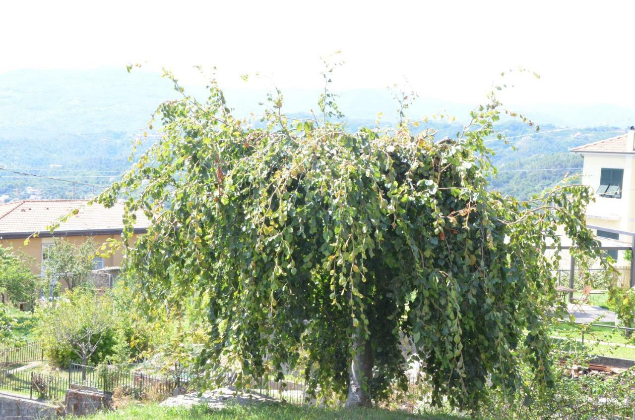 La Casa Con Vista Di Emma Apartment Vezzano Ligure Bagian luar foto